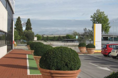 verde pubblico - Vivai Carraro Sante - Saonara Padova